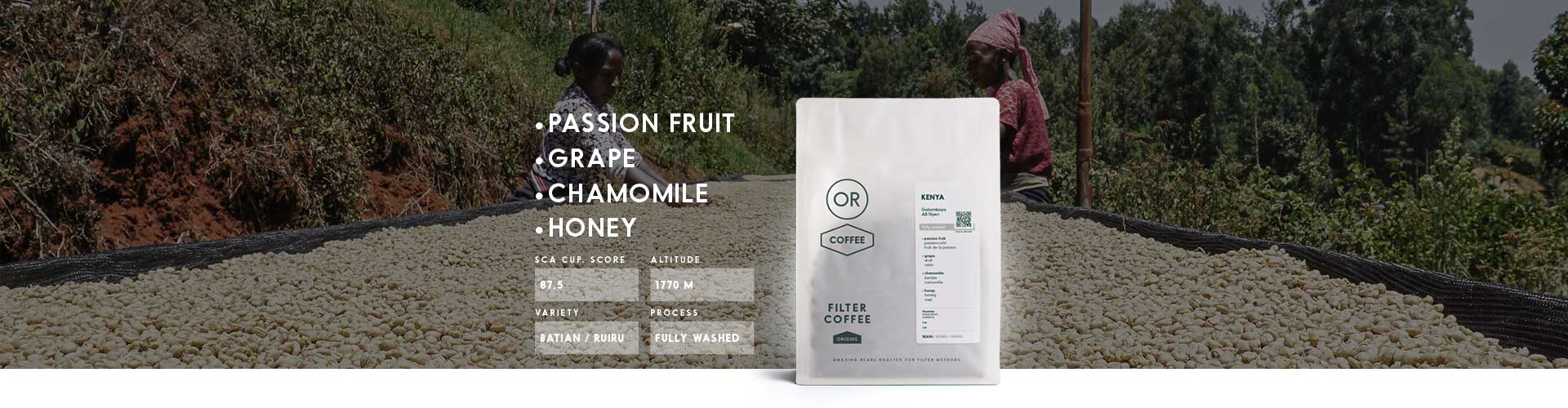 Discover the essence of our Kenya Gatomboya AB: A specialty coffee from Kenya for filter