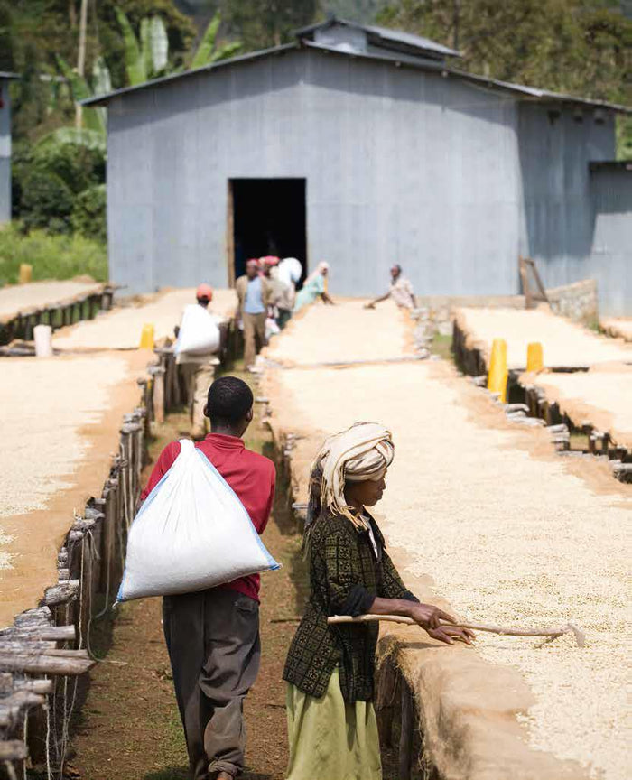 direct vs indirect trade 