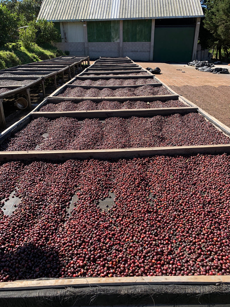 4. Hoe van deze koffie genieten?