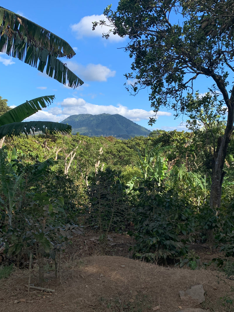 2. De Ahuachapán regio