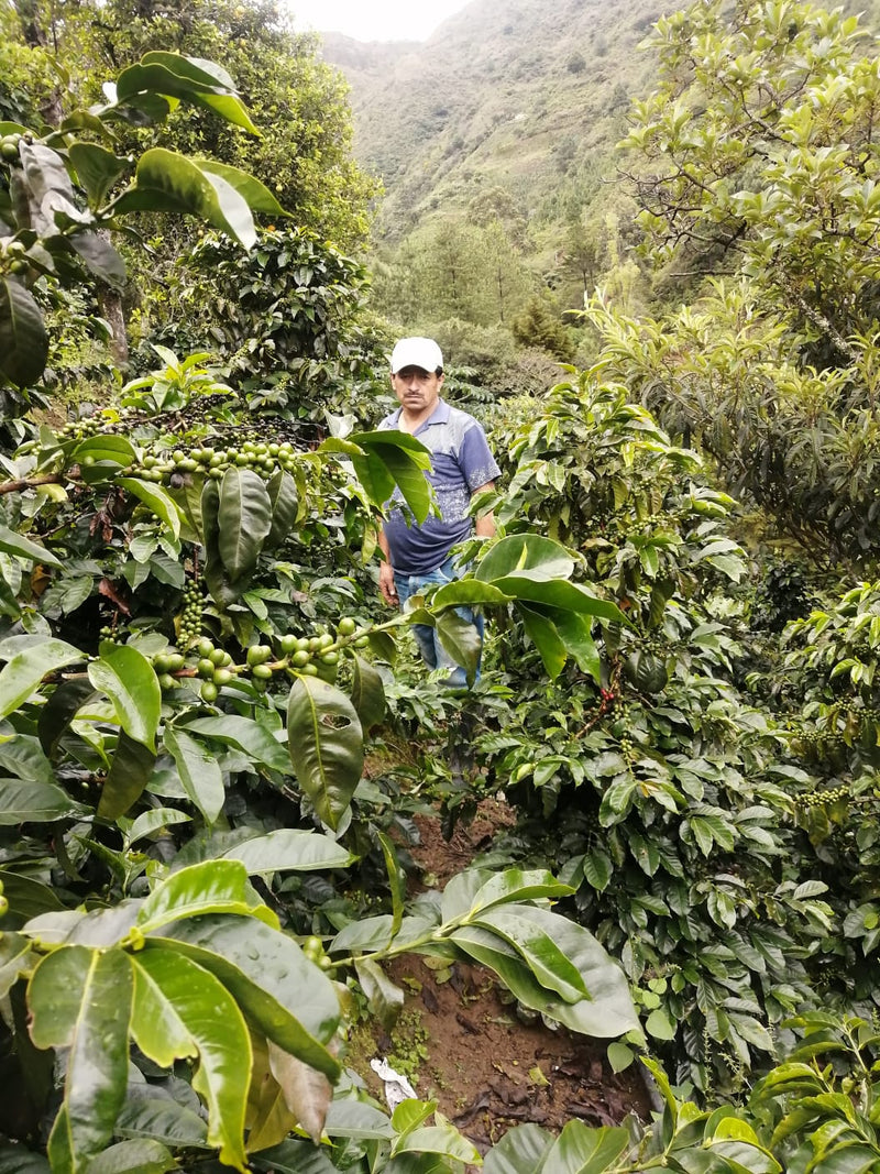 1. Know your coffee's origin