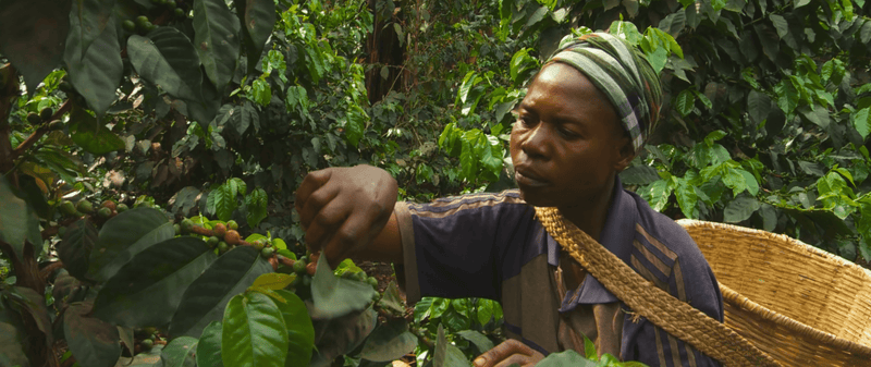 ALLES OVER CONGO – Amka Mlimaji voor Espresso