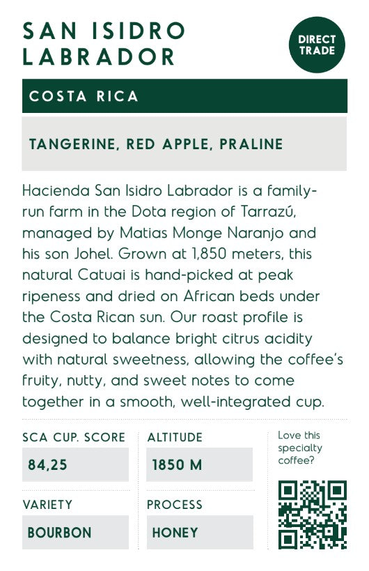 Costa Rica San Isidro Labrador info cards 50pcs