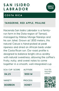 Costa Rica San Isidro Labrador info cards 50pcs