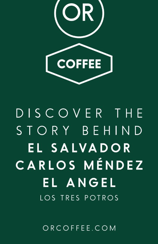 El Salvador El Angel info cards 50pcs