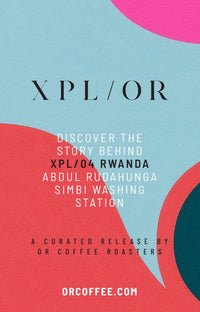 XPL/04 info cards 50pcs