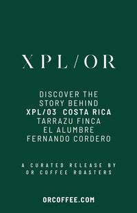 XPL/03 info cards 50pcs