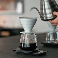 Hario V60 Barista server