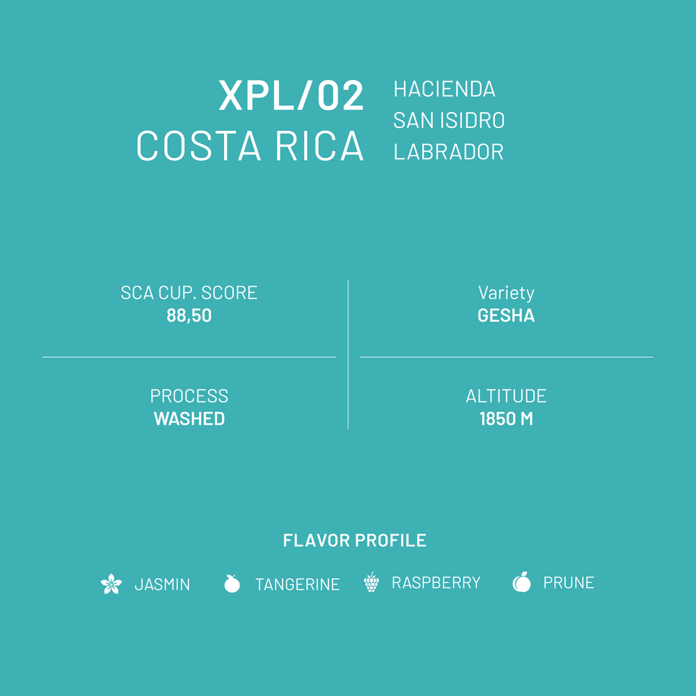 XPL/02 Costa Rica San Isidro Gesha