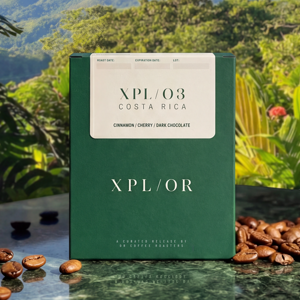 XPL/03 - Costa Rica - Tarrazu Finca El Elumbre Fernando Cordero