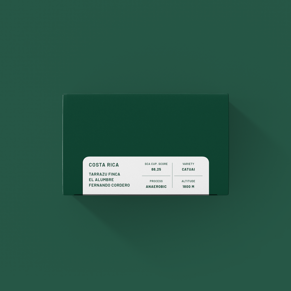 XPL/03 - Costa Rica - Tarrazu Finca El Elumbre Fernando Cordero