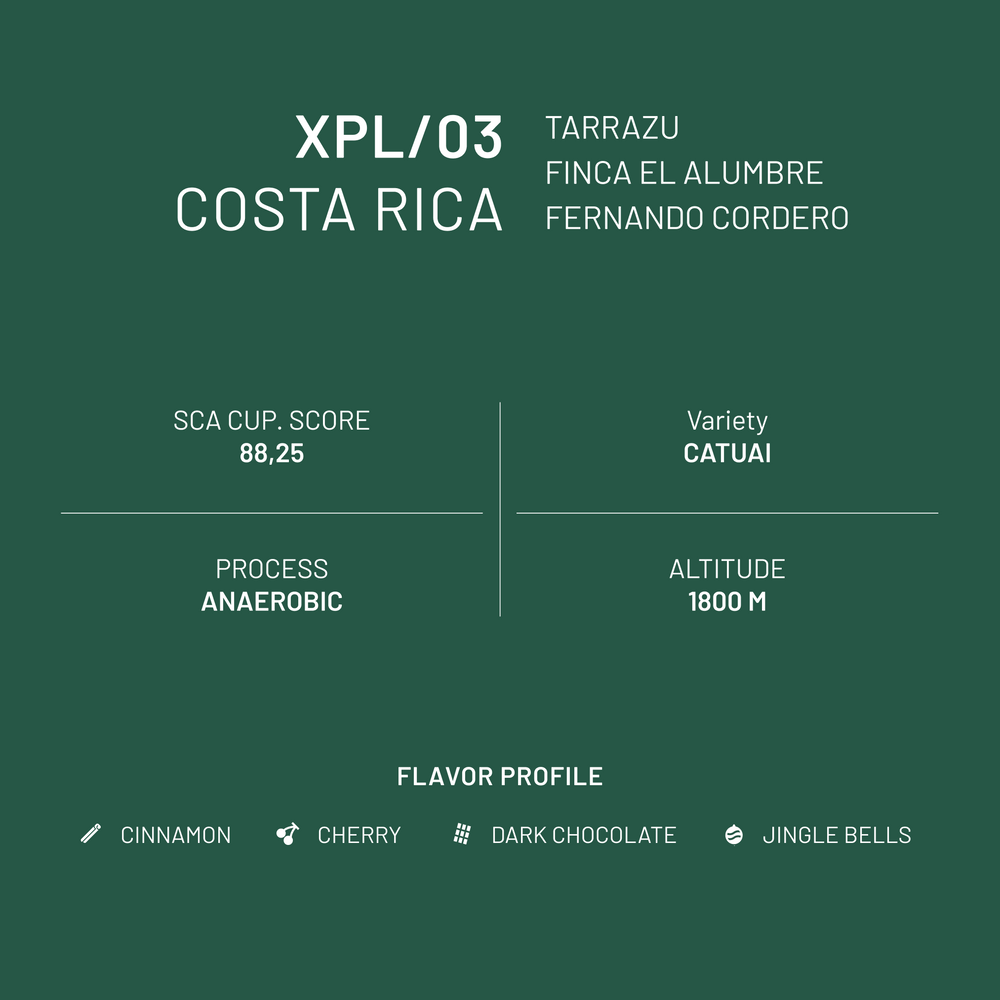 XPL/03 - Costa Rica - Tarrazu Finca El Elumbre Fernando Cordero